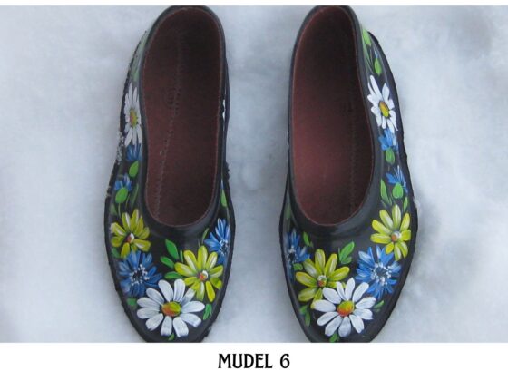 mudel 6