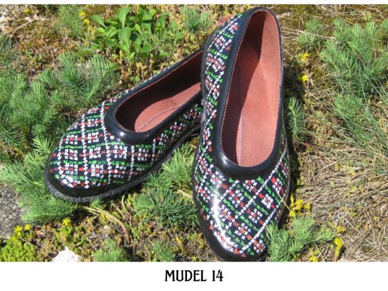 mudel 14